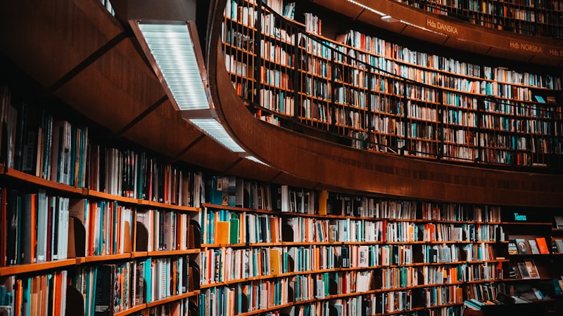 Neatly organized documents and books on a shelf